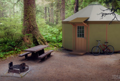 Freedom Yurt Cabin in NW forest - Micro Home - Small prefab home